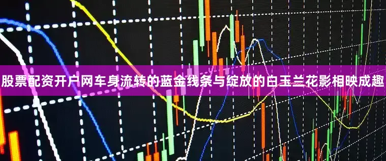 股票配资开户网车身流转的蓝金线条与绽放的白玉兰花影相映成趣