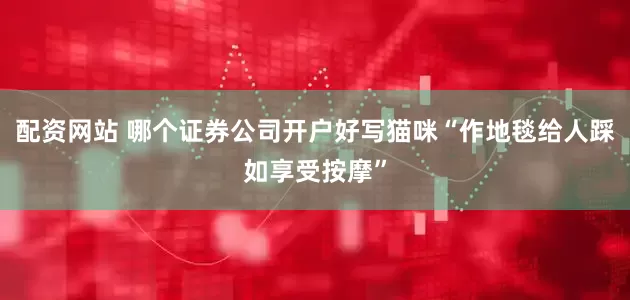 配资网站 哪个证券公司开户好写猫咪“作地毯给人踩如享受按摩”