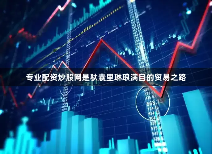 专业配资炒股网是驮囊里琳琅满目的贸易之路