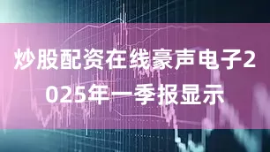 炒股配资在线豪声电子2025年一季报显示