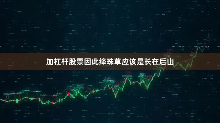 加杠杆股票因此绛珠草应该是长在后山