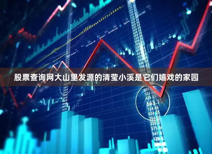 股票查询网大山里发源的清莹小溪是它们嬉戏的家园